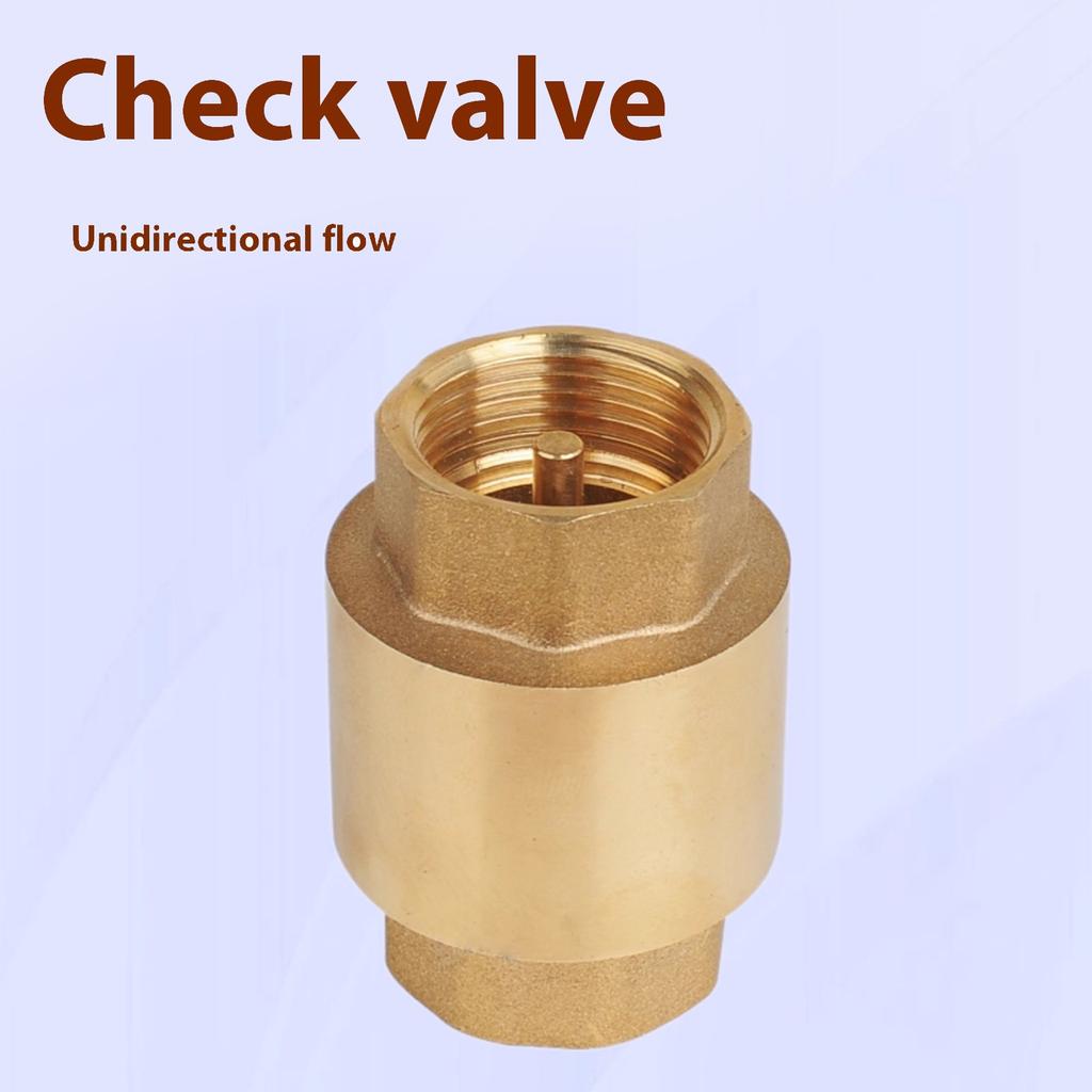 Brass Spring Loaded Check Valves Heavy Duty Internal Thread Design Vertical Mounting Suitable For Industrial Pipe System