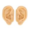 Silicone Ear Model Lifelike Soft Left Right Ear Piercing Practice Model for Earrings Earphones