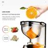 300W High Power Household Electric Fruit Juicer Large Caliber Fruit Extractor Blender Slow Chewing Cold Press Juicer