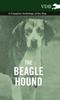 Книга The Beagle Hound - A Complete Anthology of the Dog -