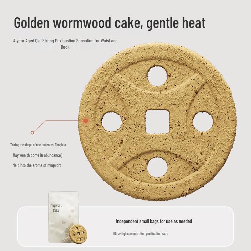 Koaielement Heated Massage Cushion