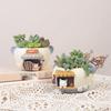 Cartoon Resin Bonsai & Succulent Flower Pots for Home Decor