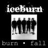 7-дюймовая пластинка ICEBURN - Burn • Fall VR06 Victory Records 1991 US Рок Б/У