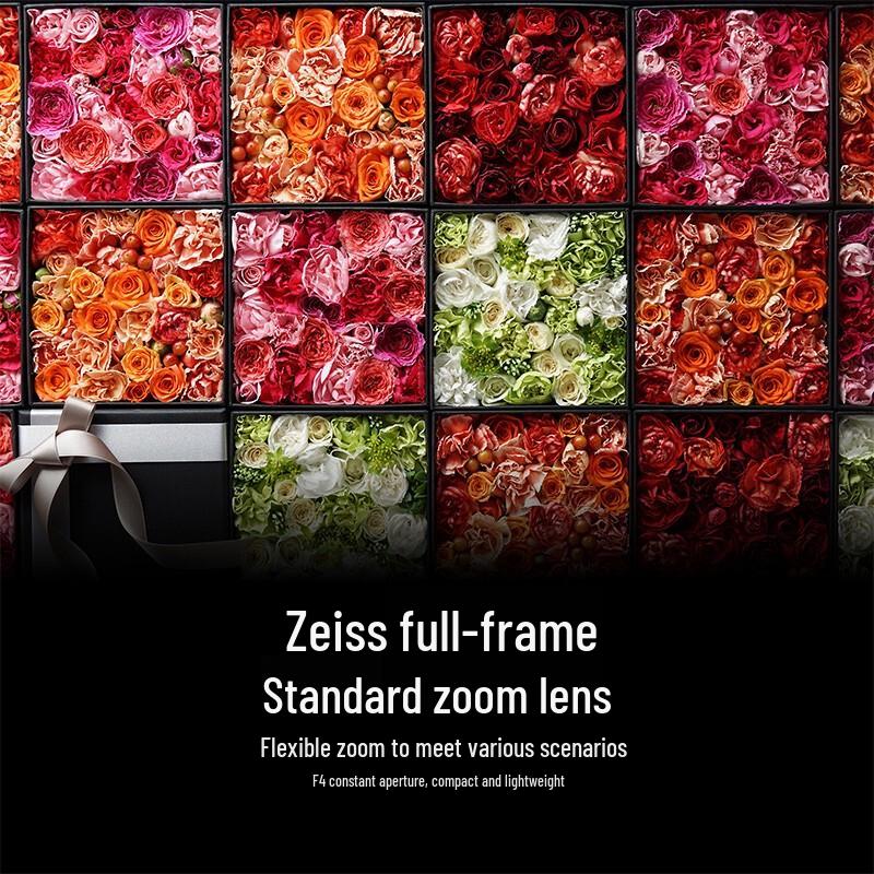 Sony Стандартный зум-объектив Vario-Tessar T* FE 24-70mm F4 ZA OSS