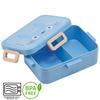Skater Silver Ion антибактериальный 4-точечный замок Bento Box 650 мл Totoro My Neighbor Totoro Face Ghibli YZFL7AG Ag+