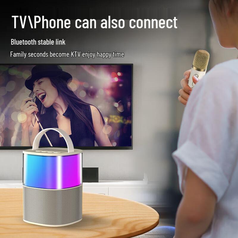 Newmine MC-600 Portable Bluetooth Karaoke Speaker