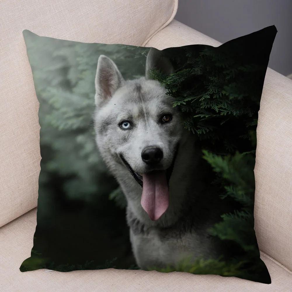 pc Realistic Siberian Husky Print Pillowcase Set  Polyester NonEmbroidery Cushion Covers for Sofa Bed Dog Lover Home Decor