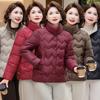 Short Down Padded Clothes Women's New Stand-up Collar Loose Warm Padded Clothes Winter Padded Jacket