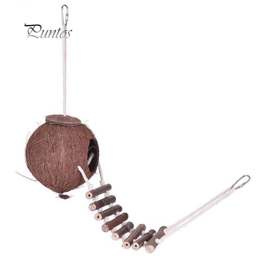 Natural Coconut Shell Parrot Nest Parakeet Birds Feeder Pets Toy with Ladder