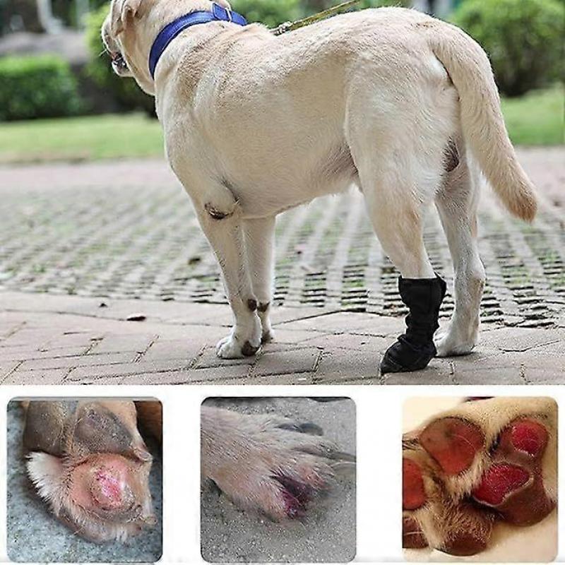 Dog Paws Protector Boot Water Resistant Soft Recovery Shoe for Dog Wound Care Breathable Pet Footwear, 1 pair
