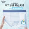 Boys' Ice Silk Underwear