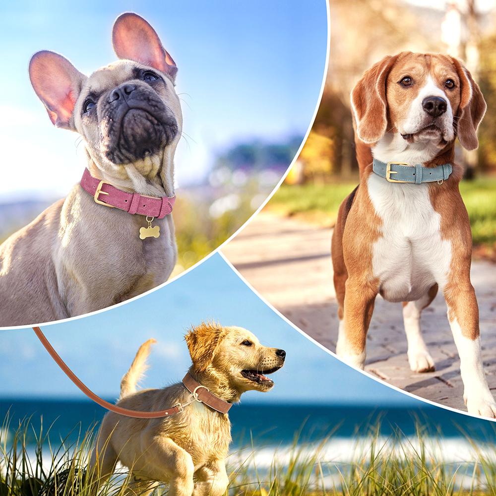 Регулируемый собачий ошейник из замшевой кожи, ошейники для питомцев, мягкий кожаный ошейник-ожерелье для маленьких, средних и крупных собак, питбуль, розовый