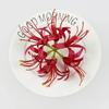 1-10pcs Artificial Red Spider Lily Silk Fabric Flower Heads Paramita Lycoris Radiata Mandala Manjusaka Silk Flowers Home Decor