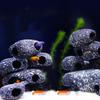 Ceramic Cichlid Stone Cave Delicate Fish Rock House Hiding Tank Cave  Aquarium