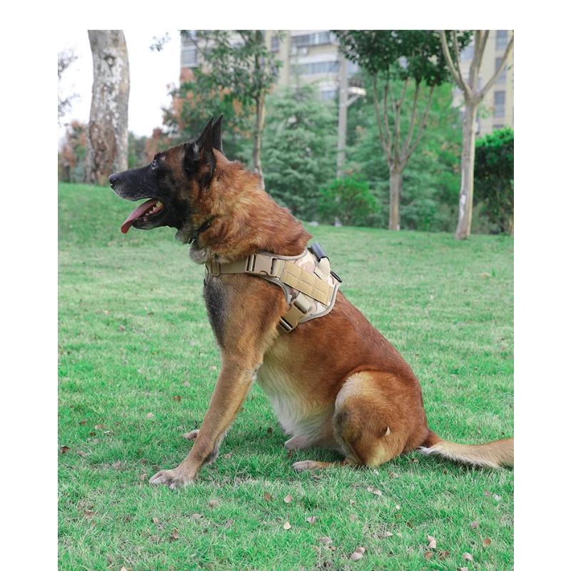 Нагрудный ремень для собак средних и крупных золотистых ретриверов, взрывозащищенный, дышащий, тактический жилет, шлейка для собак
