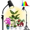 Светодиодная лампа для выращивания растений на штативе с регулируемой яркостью 20 Вт, красный/синий/дневной белый, полный спектр, напольная лампа с регулировкой яркости для цветения рассады