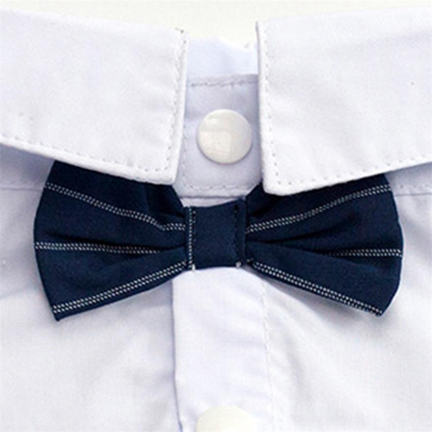 Изысканный костюм-рубашка для собак, модный костюм для кошек