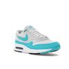 Nike Air Max 1 86 OG Golf Big Bubble — мужские кроссовки Dusty Cactus сине-белые из чистой платины DV1403-117