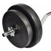 VidaXL Dumbbell 30 Kg Weight Fitness Exercise Weight Training Weight 90373