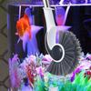 Long Handle Fish Tank Cleaning Tools Durable Aquarium Brush Cleaner  Home Kitchen