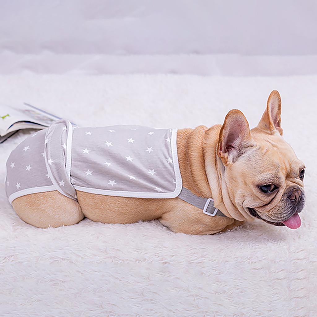 Girl Dog Sanitary Panties Physiological Pants Small Dog Period Jumpsuits Shorts Female Dog Diaper Pantie Washable Shorts