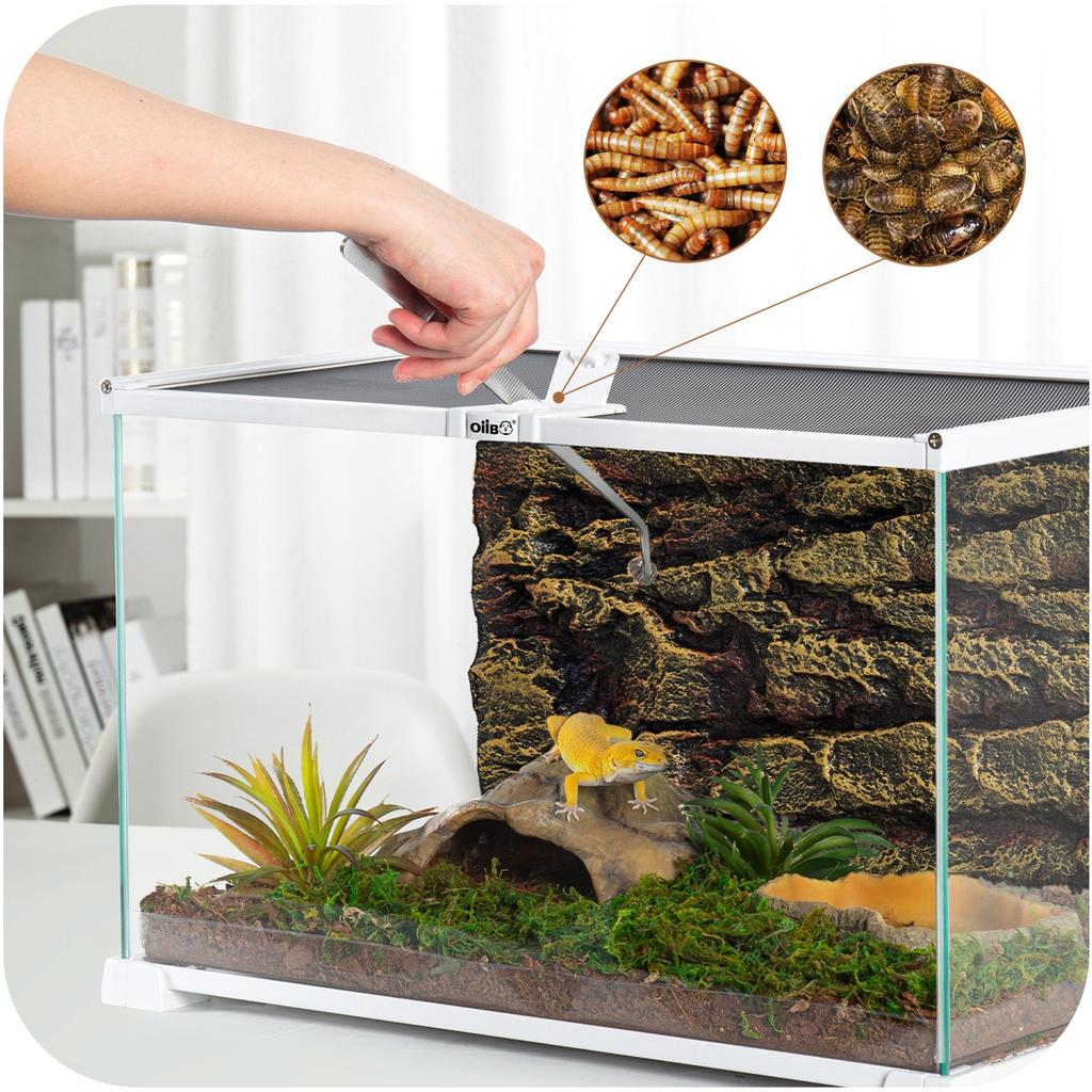 Oiibo Terrarium Rak05W - Terrarium 50X30X35Cm