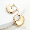 Personalized Fan-shaped Ginkgo Biloba Earrings, Women's Simple Fashion Metal Sense Ear Buckle Niche Design Sense