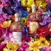 Guerlain - Eau de Parfum Aqua Allegoria Florabloom Forte 75 ml - 