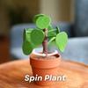 3D Printed Chinese Money Plant Ornament with Piggy Bank Pilea Food Picker Decision Tool Dinner Decider Home Kitchen Dining Room Decoration
