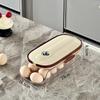 Slide-Out Multi-Layer Egg Storage Box with Handle for Refrigerator Door