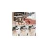 GOENDR Spice Rack with Strong Suction Cups, Wall-Mounted Spice Rack, with Dishcloth Holder and