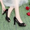 Fish Mouth Mesh Sandals Women's High Heels Thick Heel 2025 Summer New Waterproof Table Women's Shoes Fashion Korean Version Versatile Single Shoes