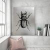 Feeby Canvas print, Silver-coloured drawing of an insect