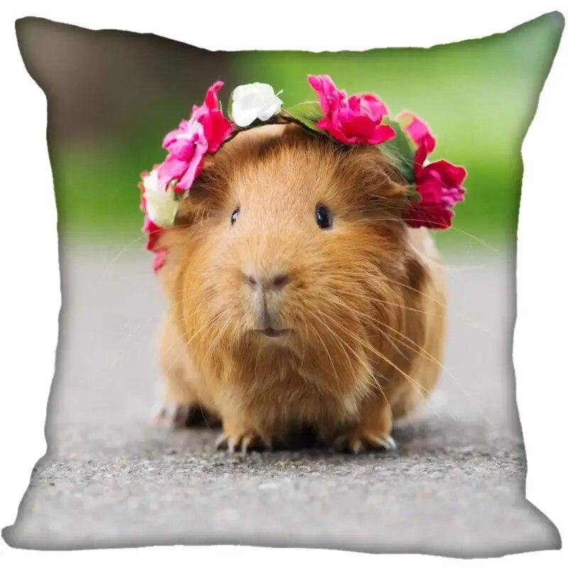 Наволочка для гостиной с морской свинкой в ​​современном доме