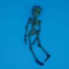 Poseable Skeleton Fridge Magnet 3D Printed Articulated Full Body Skeleton with Movable Joints Halloween Mini Skull Fridge Magnets for Home Decor