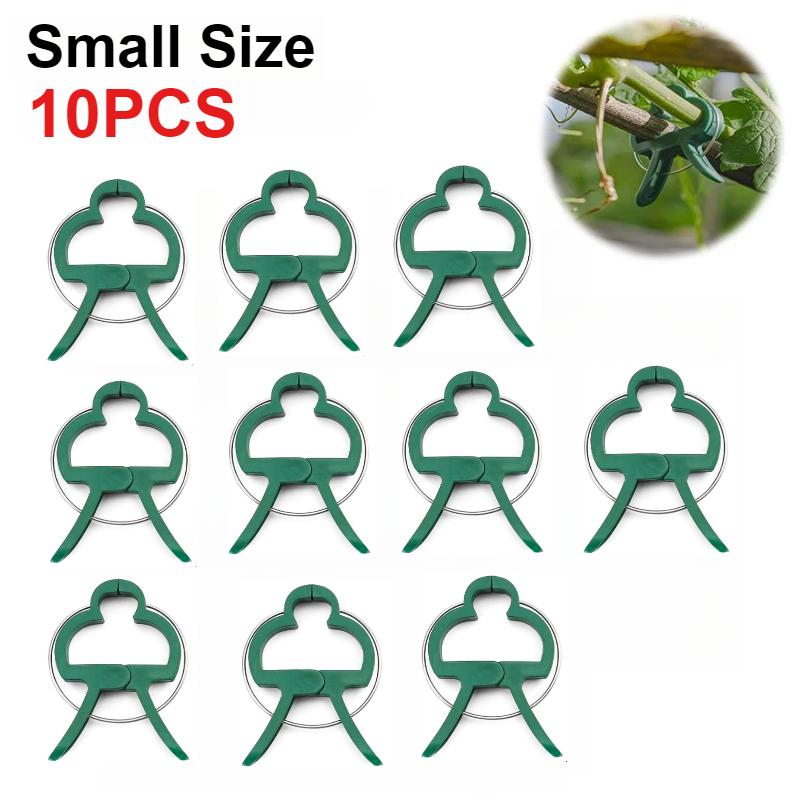 50 шт. фиксированных зажимов для растений, многоразовый зажим для садовой теплицы, кронштейн для фиксированных растений, инструментов для поддержки стеблей саженцев виноградной лозы