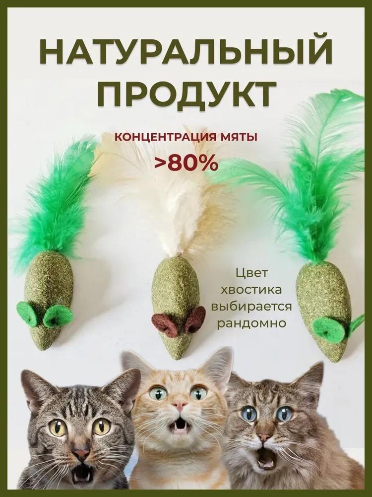 Корм для домашних животных Кошачьи лакомства Кошачья мята