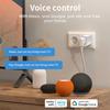 HIMOJO Tuya WIFI + Bluetooth Smart Socket FR Plug Smart Life App Timer Goolge Alexa Voice Control Power Monitor Switch Outlets