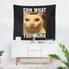 Aertemisi Erm Что за Сигма Кот Смешной Мем Гобелен Настенное Искусство для Спальни Гостиной Общежития Вечеринки Фон