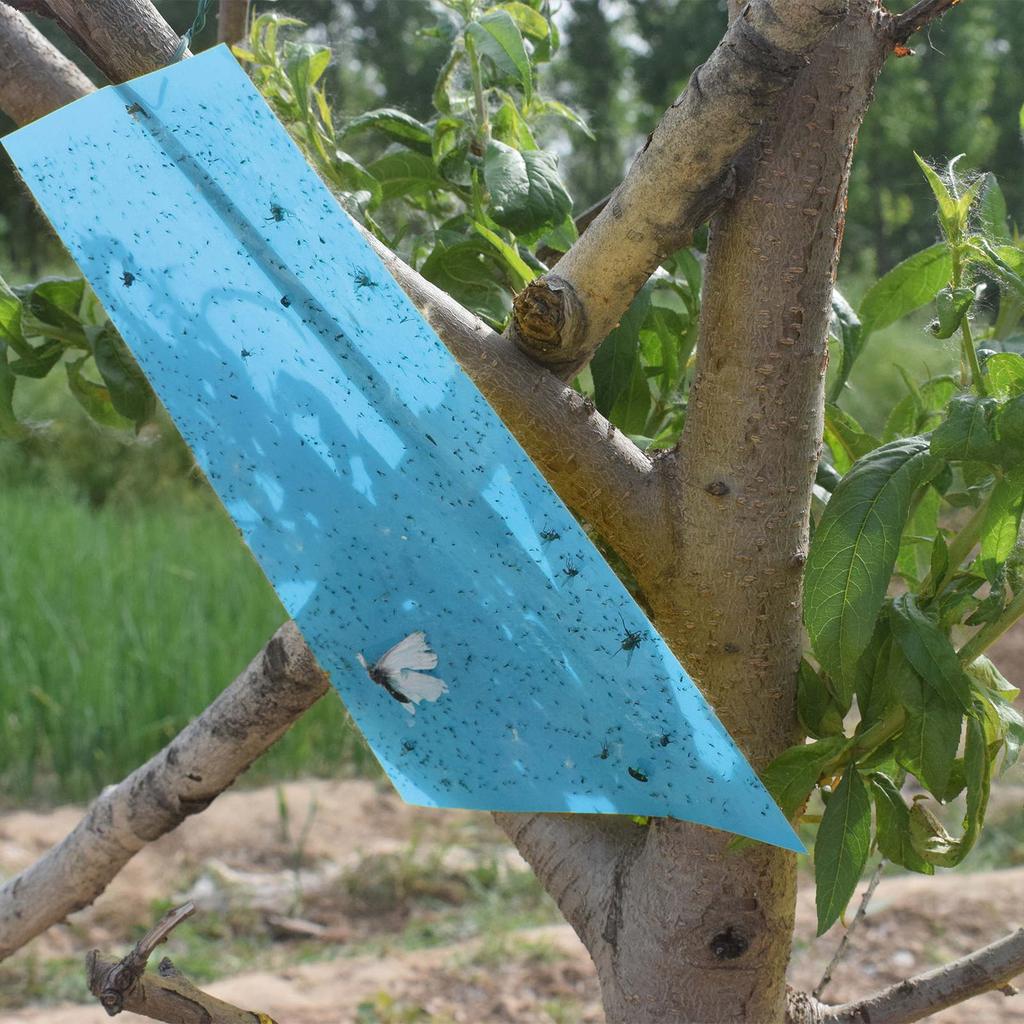 Липкие ловушки для летающих растительных насекомых, грибных комариков, 20 шт., 20*25 см, двусторонние ловушки для летающих насекомых, можно разрезать