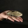 Цикада из цельной латуни Чайный питомец Большой орнамент для гостиной кабинета офиса