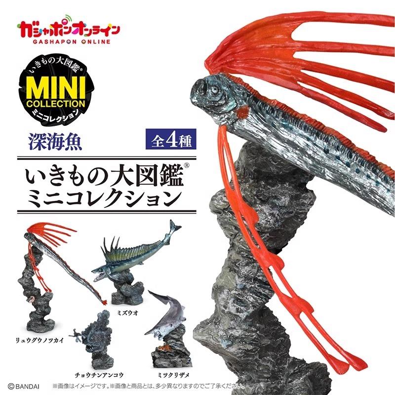 Original Gacha Toys Biological Encyclopedia Deep Sea Fish and Marine Life Simulation Model Ornaments ACTION FIGURE Toys