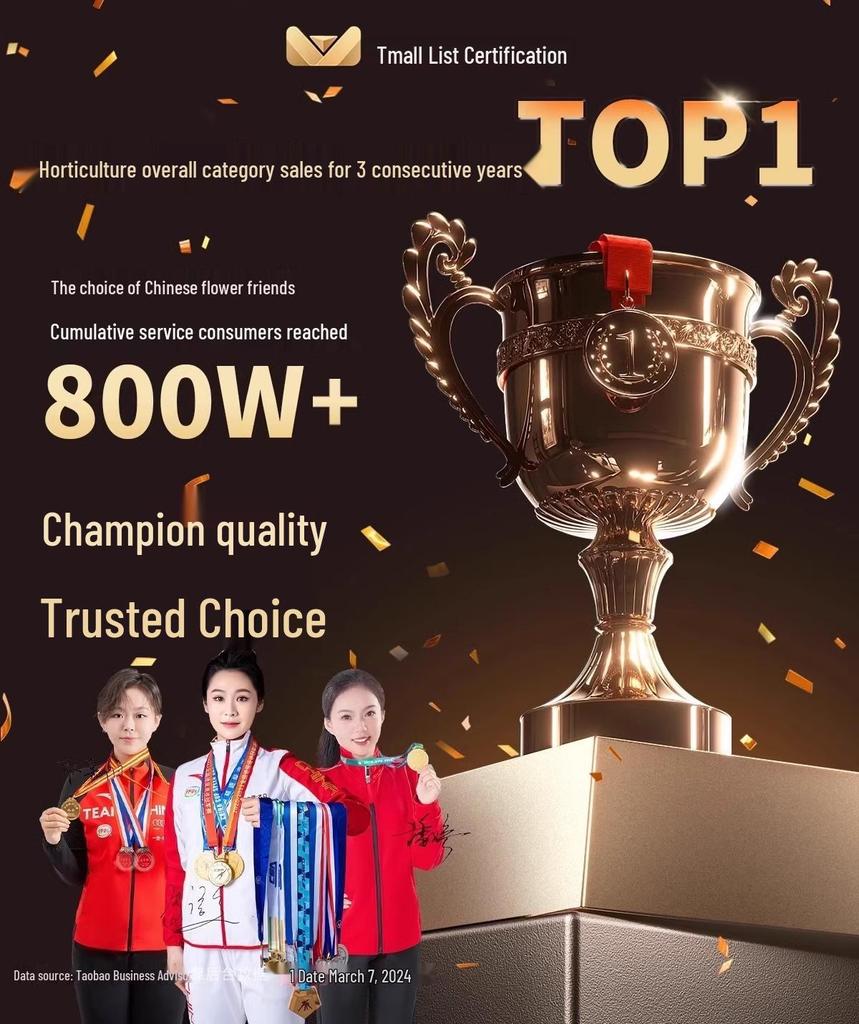 Садовая решетка для забора из обработанной древесины для украшения сада, двора или балкона