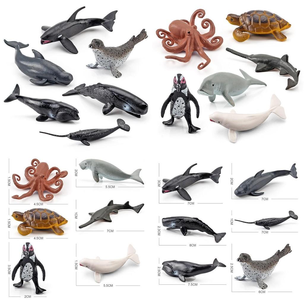 Marine Animal Pvc Model With Realistic Design For Education And Collection