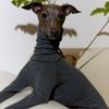 Зимний теплый свитер с высоким воротником для домашних животных, жилет для борзых собак, куртка, утолщенное пальто для уиппетов, пуловер для собак средних и больших размеров, одежда