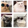 Pet Glasses Cat Supplies Creative Dog Pet Supplies New Strange Funny Cat Sunglasses