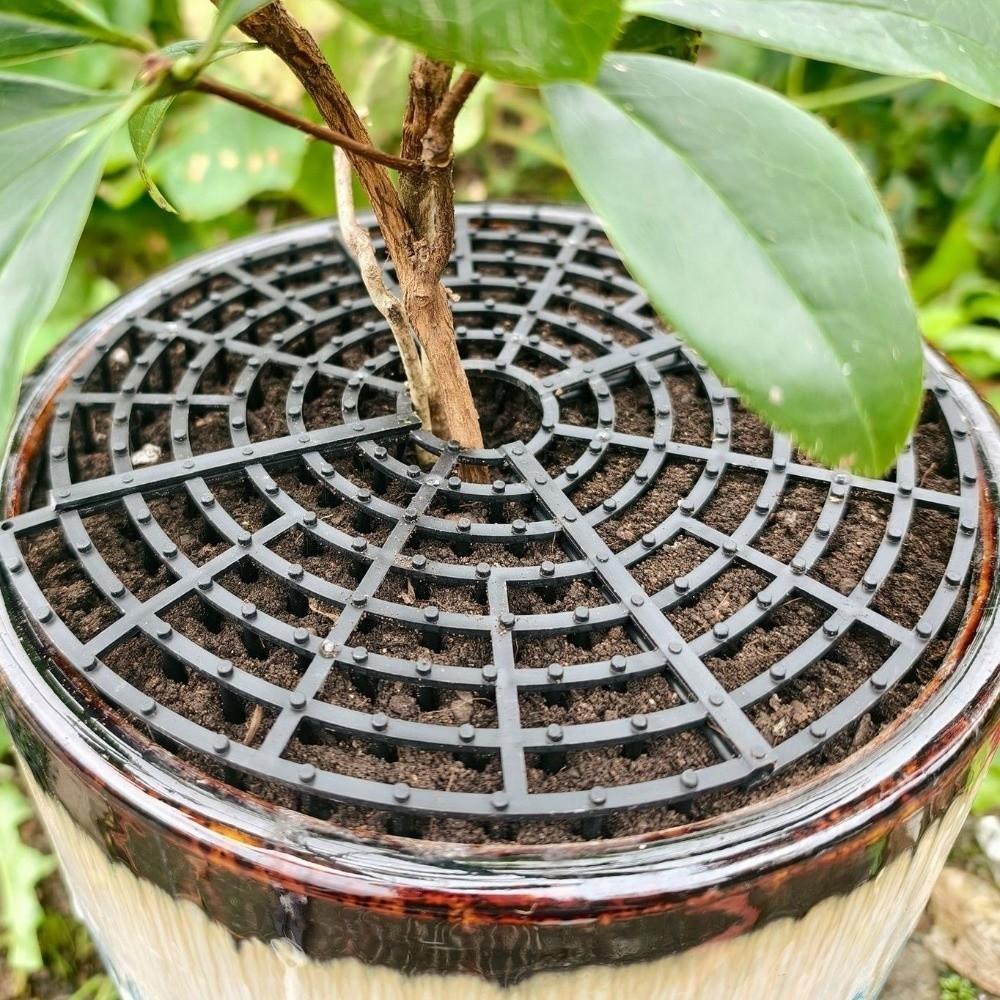 Breathable Mesh Plant Pot Soil Protector Grid Cover Cutting Barbed Cut-Outs Spiked Soil Protection Grid Reversible Use