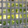 Garden Planters with Trellis for Climbing Vines, Wood Raised Beds for Garden, Flower Pot, Indoor Outdoor, Grey