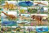 BEVERLY In Beverly 80 Piece Jigsaw Puzzle Ania Dinosaur Secret X [Made Japan] (26 38cm) 80-039