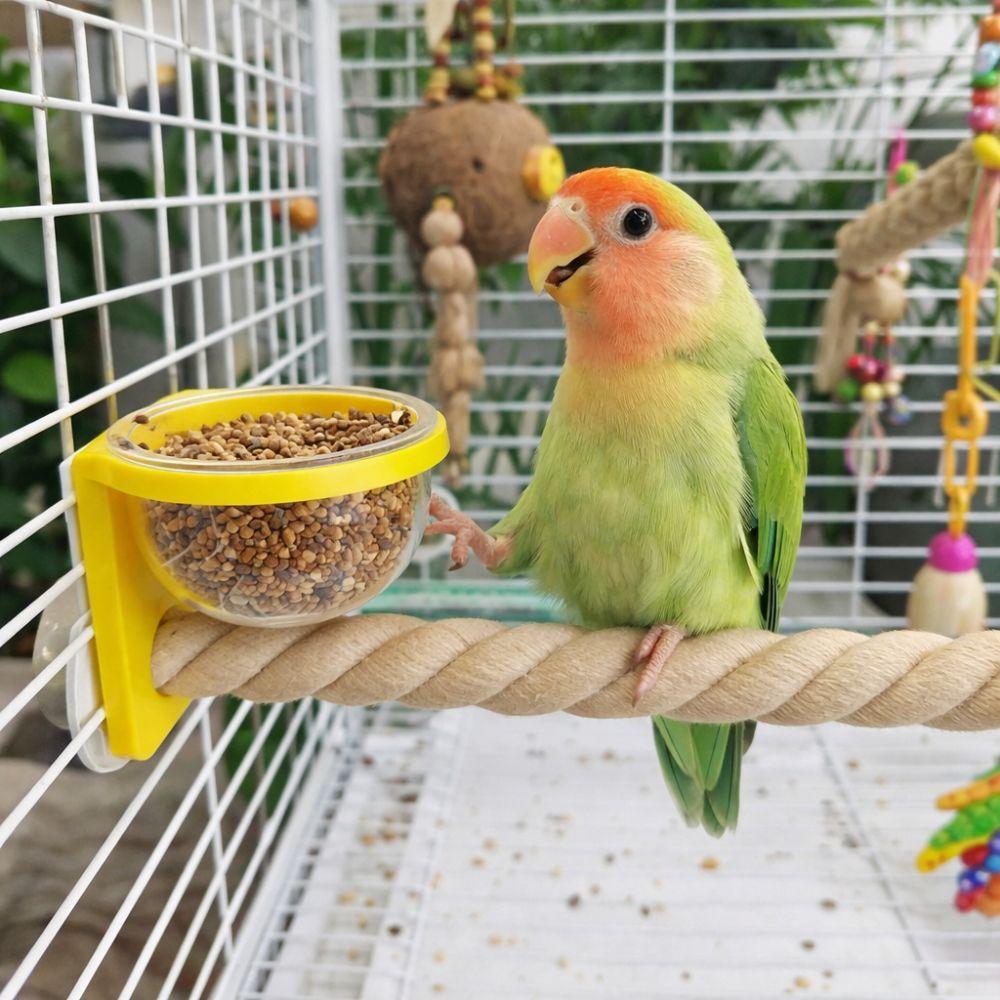 Wear-resistant Bird Cage Feeder Paw Grinding Parrot Wood Perch Bird Feeding Cup  Pet Bird Supplies